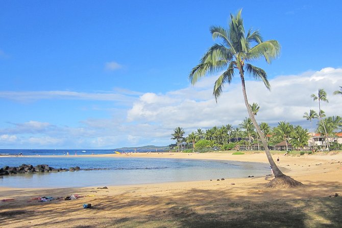 Private Luxury Tour of Kauai: South & West Shores - Cancellation and Booking Information