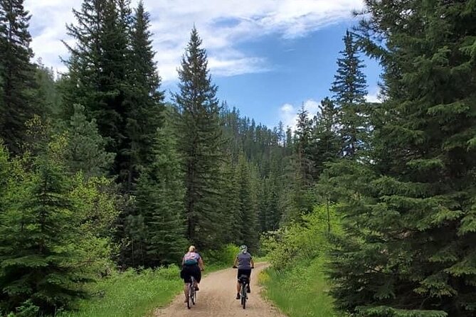 Private Mickelson Trail Bicycling Tour - Health and Safety Guidelines