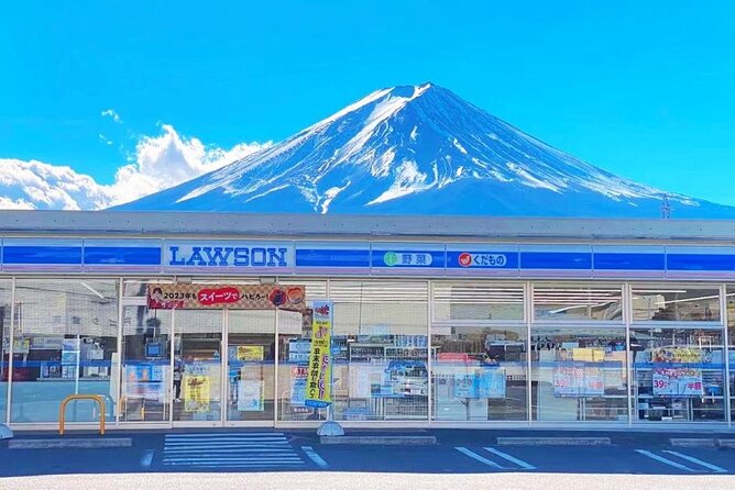 Private Mount Fuji and Hakone One Day Tour - Highlights of the Tour