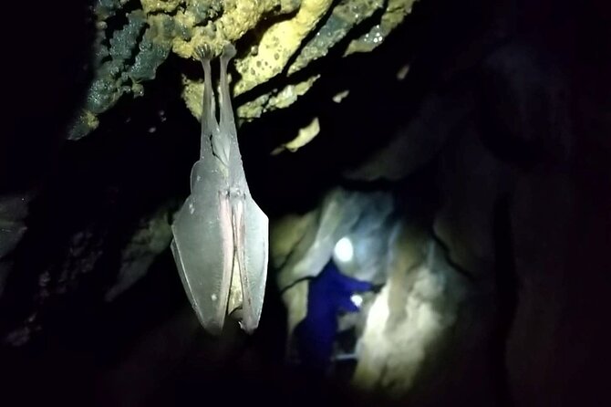 Private Ninja Training in a Cave in Hidaka - Included Amenities
