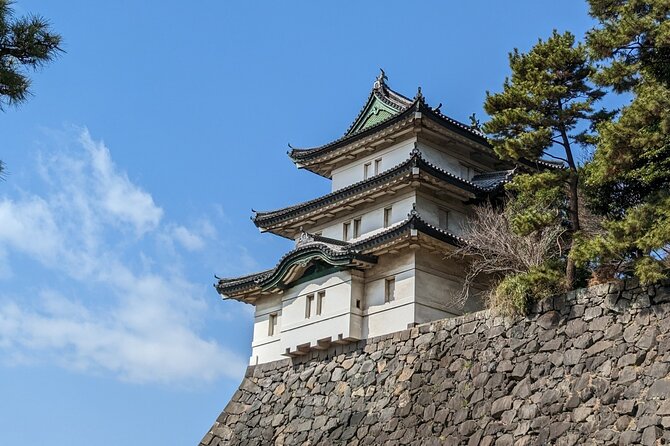 Private One Day Tour in Tokyo With Limousine and Driver - Local Insiders Perspective