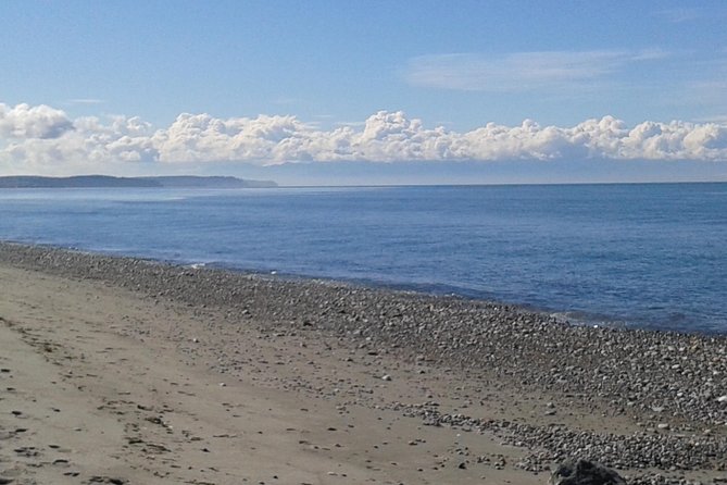 Private Pacific Ocean Beach Experience - Accessibility Information