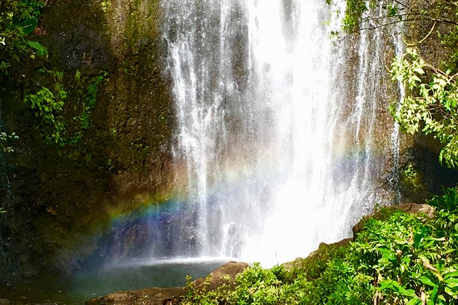 Private Road to Hana Tour - Pickup and Meeting Details