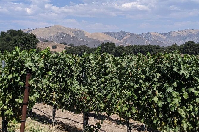 Private Santa Ynez Valley Wine Tasting Tour for up to 4 Guests - Sum Up