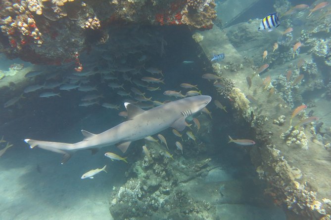 Private Scuba Diving in Lahaina - Scuba Equipment and Amenities