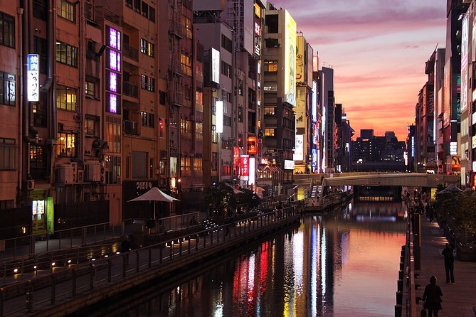Private Sedan Hire in Osaka City With English Speaking Driver - Accessibility and Participation
