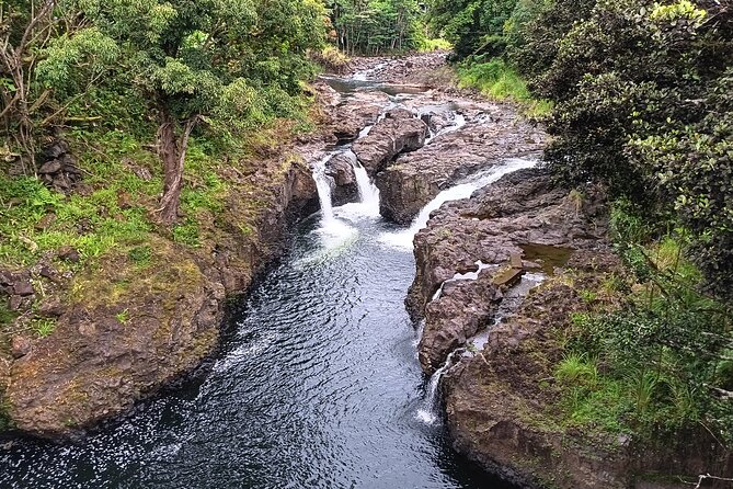 Private Shore Excursion Hilo Review - Reviews
