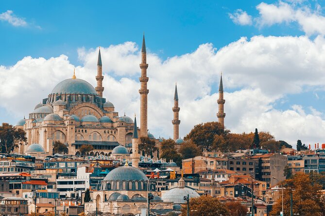 Private Shore Excursion: Jewels of Istanbul Tour With a Boat Ride - Navigating Istanbuls Diverse Neighborhoods