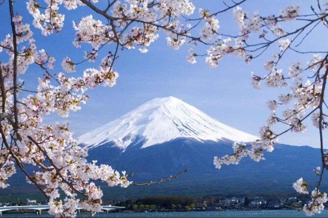 Private Sightseeing Full Day to Mt Fuji and Hakone - Accessibility and Participation