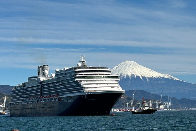 Private Sightseeing Tour From Shimizu Port / Sedan Taxi - Physical Requirements