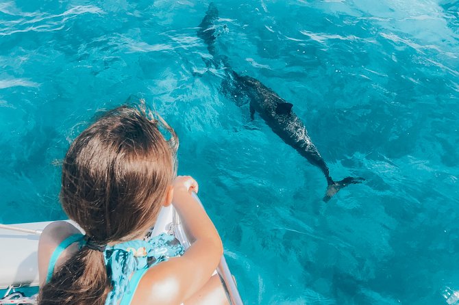 Private Snorkel Trip From Oahu on a Yacht - Additional Information