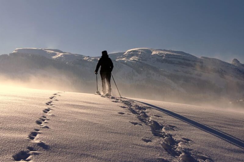 Private Snowshoeing Full Day - Included in the Price