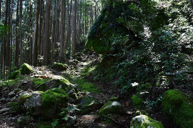Private Spiritual Hike in Hidakamura With Mountain Monk - Savoring the Vegan Lunch