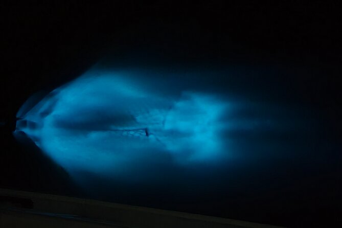 Private Sunset and Bioluminescence Tours in Cocoa Beach - Booking Your Private Tour