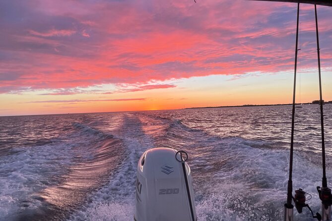 Private Sunset Cruise Around Key West - Spotting Marine Wildlife
