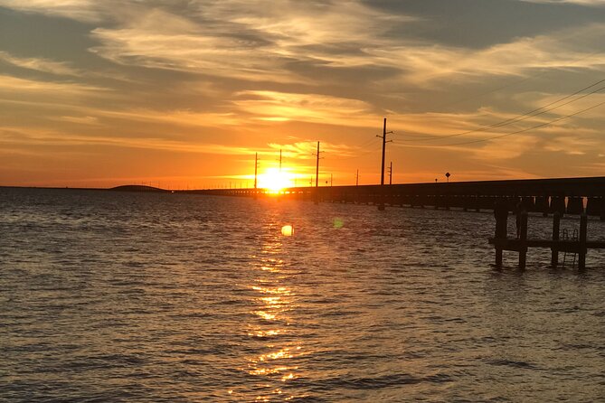 Private Sunset Eco Tour of Marco & 10,000 Islands - Spotting Wildlife in the 10,000 Islands