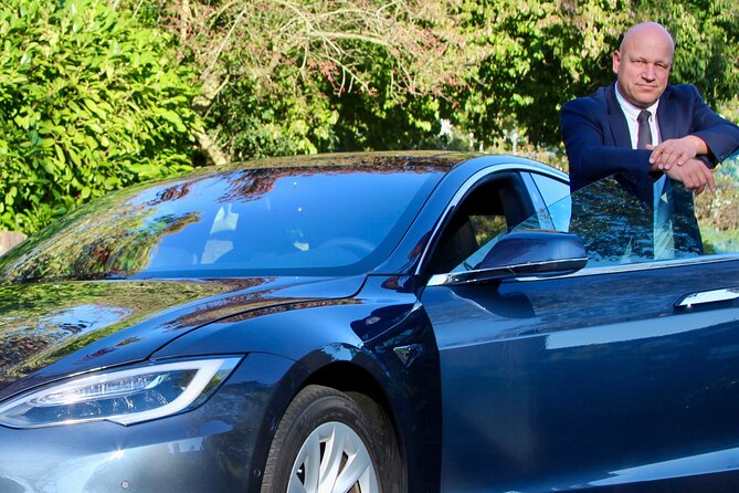 Private Tesla Taxi From Delft to Schiphol Amsterdam Airport - Accessibility Features