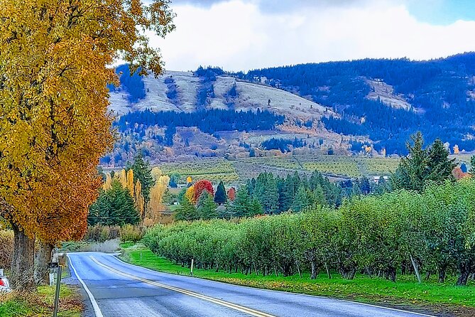 Private Tour at The Hood-Columbia Loop: Timberline, Orchards, and Waterfalls - Discovering Timberline Lodge and Surroundings