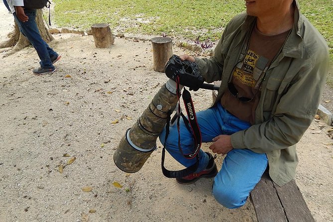 Private Tour: Birdwatching Playa Del Carmen - Pickup Information