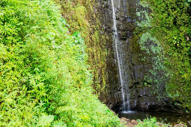 PRIVATE TOUR-Hike Diamond Head & Hawaiian Waterfall - Booking Information