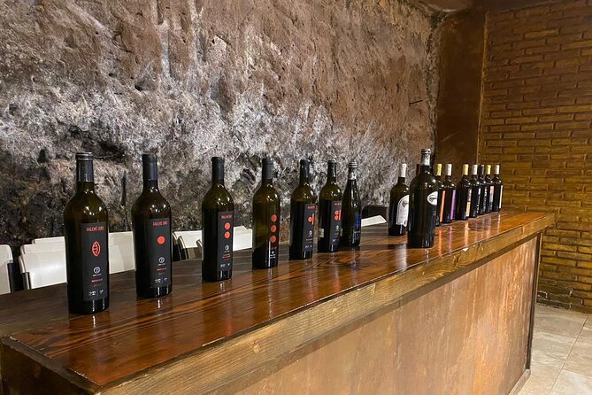 Private Tour in Guadalupe Valley, Vine Yards & Wine Route ENS MX - Accessibility Information