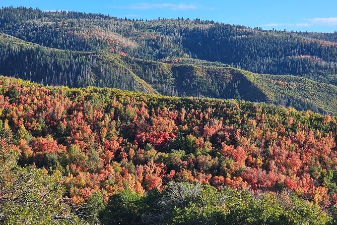 Private Tour in Heber Valley Review - Cancellation Policy and Booking