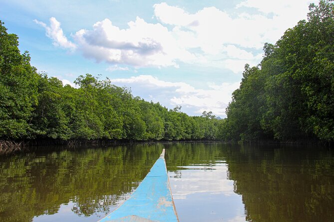 Private Tour Magic Mangrove Paddle in Beef Island Lagoon - Exploring the Mangroves
