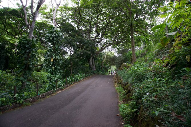 Private Tour Oahu-North Shore Ft. Waimea Falls-Admission Included - Customer Feedback