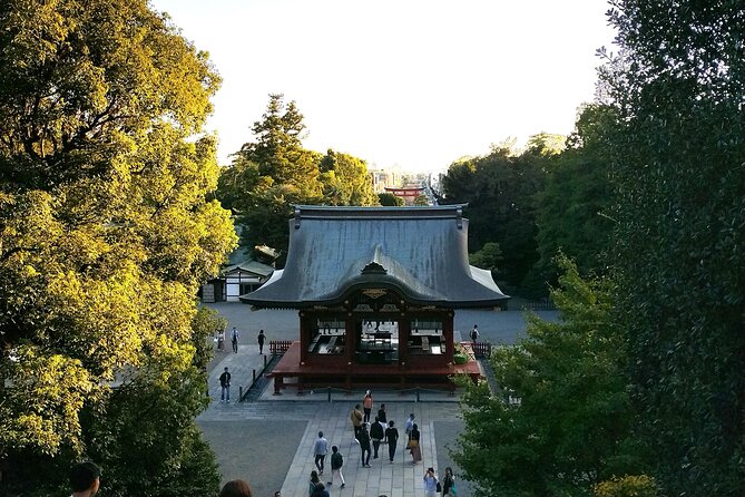 Private Tour of North Kamakura Temples With Licensed Guide - Reviews and Feedback