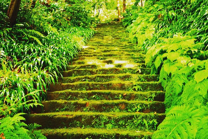 Private Tour of the Ancient Capital Kamakura From Tokyo - Meeting and Pickup Details