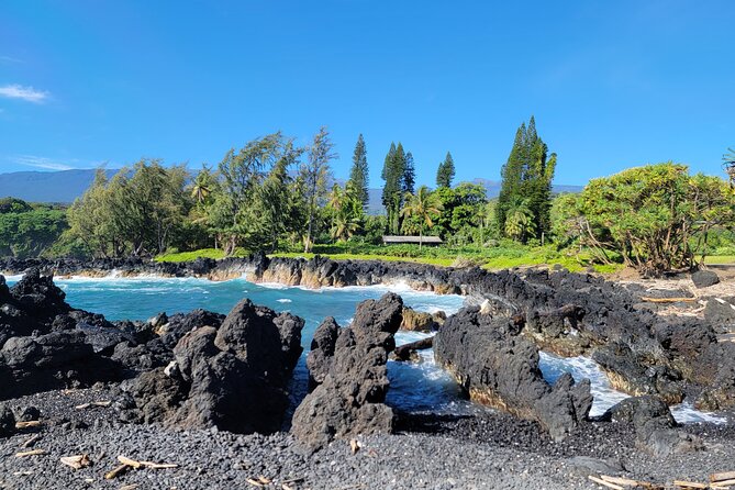 Private Tour on Maui With Luxury Mercedes S-Class - Itinerary Flexibility