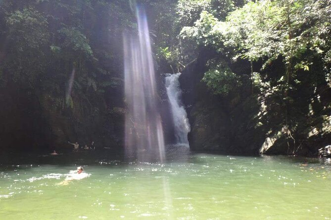 Private Tour Paria Waterfall From Port of Spain - What to Expect on the Tour