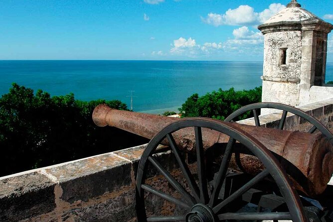 Private Tour to Campeche City From Merida by Yucatan Concierge - Customer Reviews and Ratings