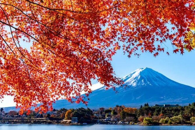 Private Tour to Mount Fuji With an English Driver From Tokyo - Tour Experience and Enjoyment