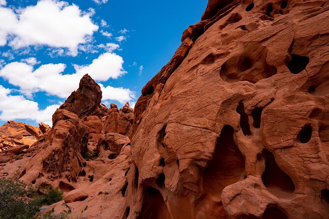 Private Tour: Valley of Fire Day Tour From Las Vegas - Accessibility Features