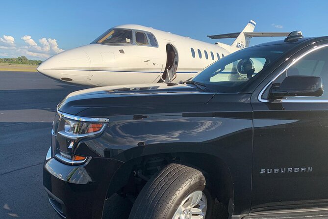 Private Transfer From LAS to Lake LAS Vegas / LAS Vegas - Accessibility Features
