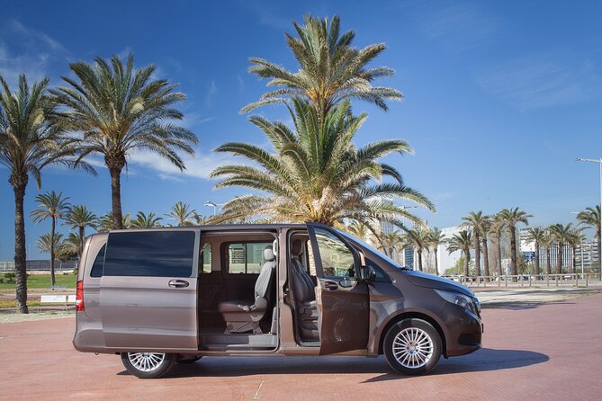 Private Transfer From Madrid to Toledo - Participation Guidelines