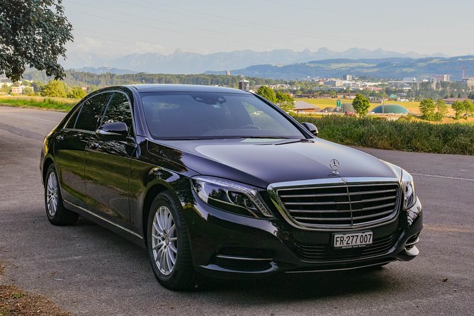 Private Transfer From Veysonnaz to Geneva Airport - Luggage Allowances and Accessibility