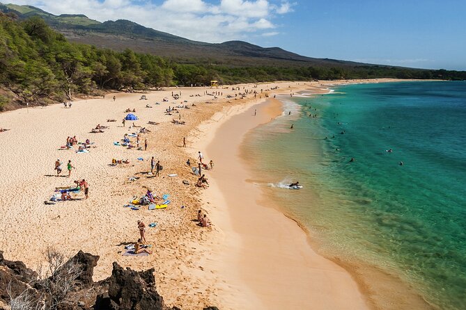 Private Transfer Kahului Airport OGG to Maui Kihei Lahaina Wailea - Customer Reviews and Feedback