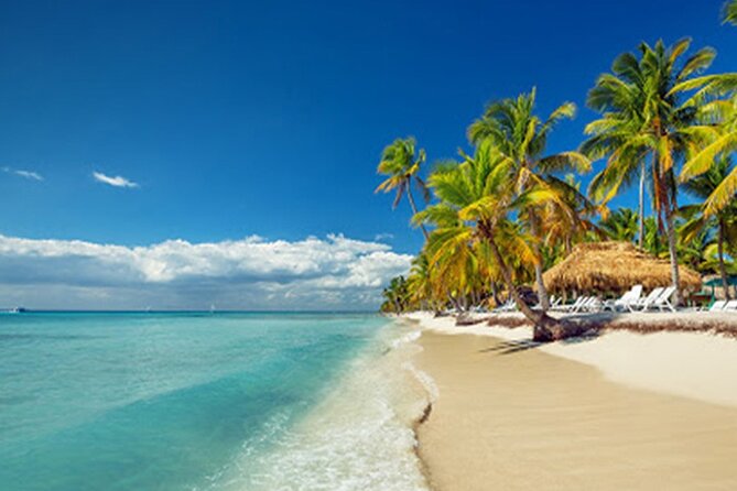 Private Transfer: Punta Cana or Bavaro to Punta Cana Airport PUJ in Van - Safety and Cleanliness Measures