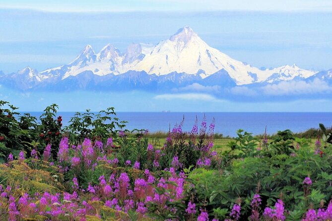 Private Transfer, Seward Cruise Ship to Anchorage - Navigating the Transfer Process