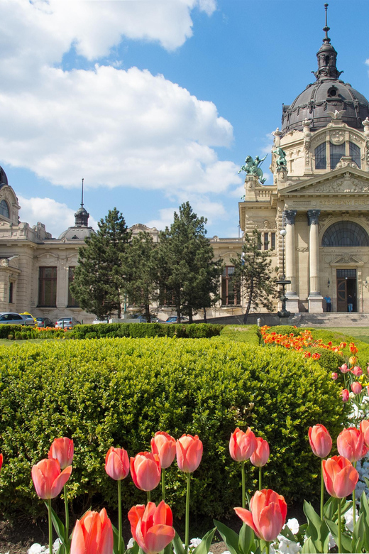 Private Transfer: Vienna to Budapest With 2 Hr Sightseeing - Sightseeing Options During Transfer