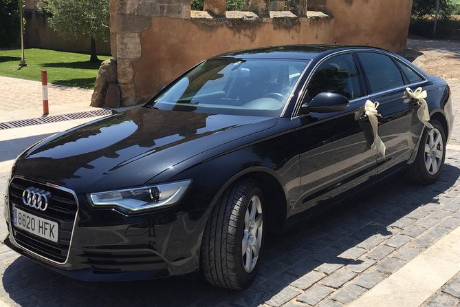 Private Transfers Airport-Hotel Zaragoza. - Booking Options