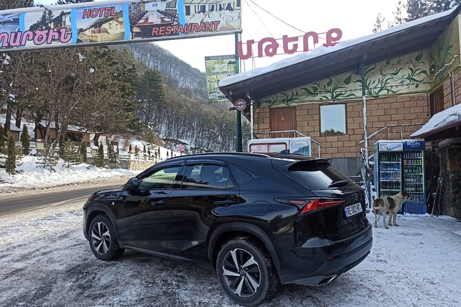 Private Transfers From Tbilisi Airport to Any Desired Destination - Accessibility and Amenities