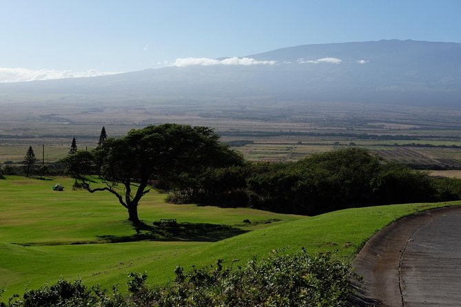 Private Tropics of Maui & Rainforest Valley: Kahului, Wailea, Kihei Pick up - Booking Details