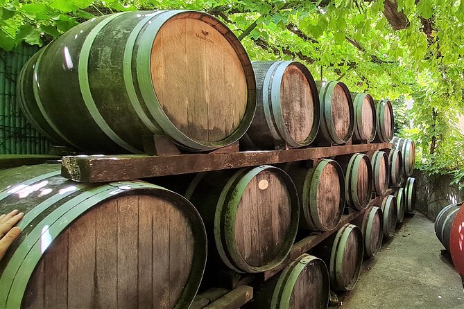 Private Walk In The Vineyards Of Collioure With Wine Tasting - Additional Information