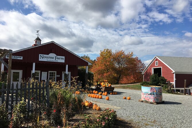 Private Walking Tour of the 100th Town in Westborough - Review Highlights