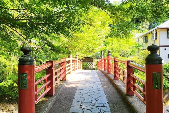 Private West IZU Uncovered Tour Cave Cruise and Monkey Encounter - Encountering the Enchanting Monkeys