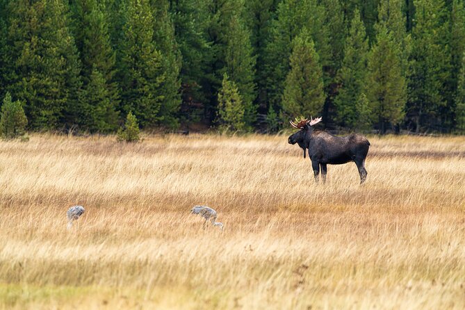 Private Wildlife Photography Tour Review - Booking Information