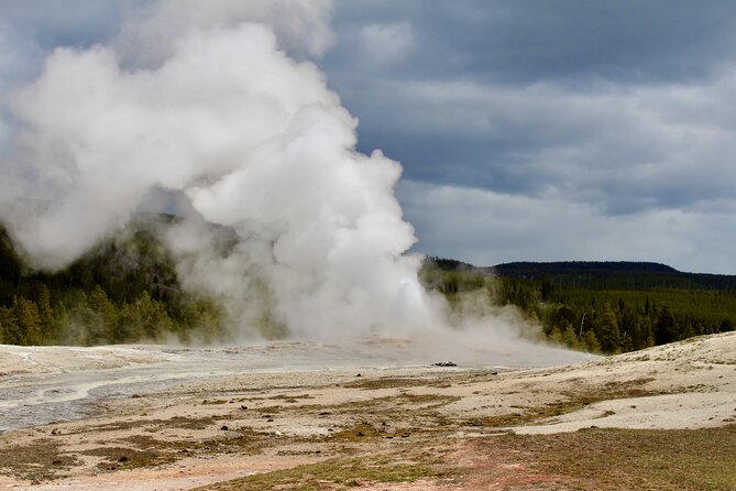 Private Yellowstone Lower Loop Tour - Wildlife Viewing Opportunities